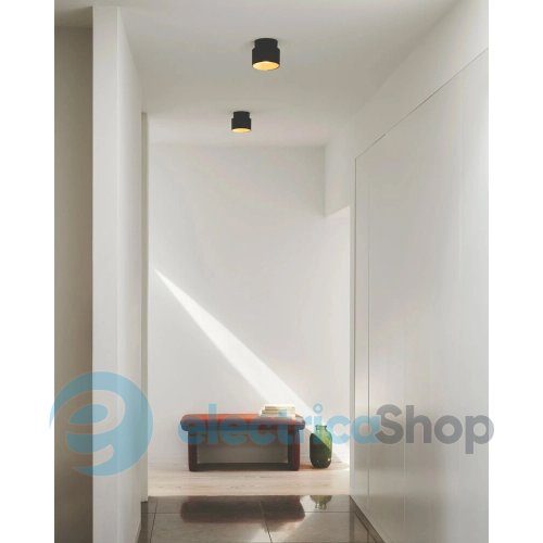 Спот Nordlux Torone 2410200101