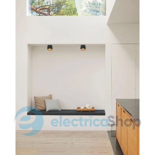 Спот Nordlux Torone 2410200101