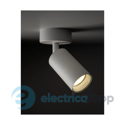 Світильник-спот TK-Lighting AMIS 10794