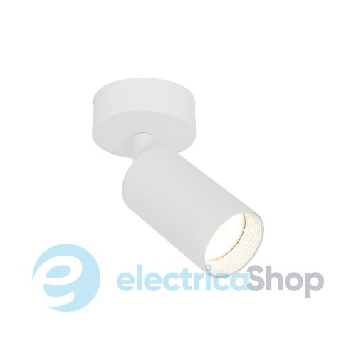 Світильник-спот TK-Lighting AMIS 10794