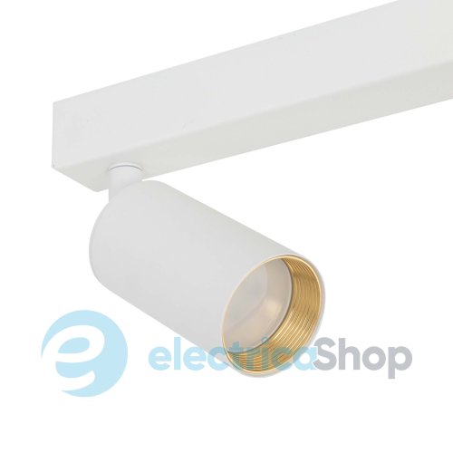 Світильник-спот TK-Lighting AMIS 10795