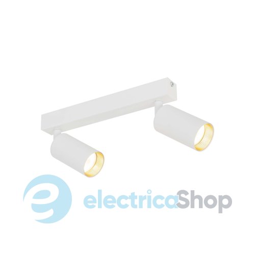 Світильник-спот TK-Lighting AMIS 10795