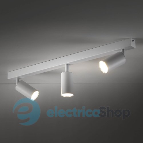 Світильник-спот TK-Lighting AMIS 10796