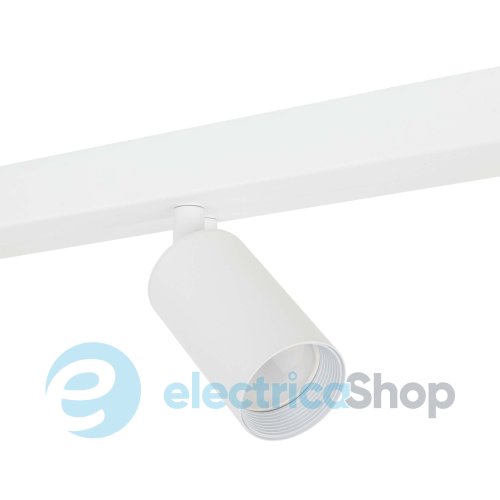 Світильник-спот TK-Lighting AMIS 10797