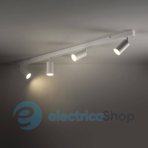 Світильник-спот TK-Lighting AMIS 10797