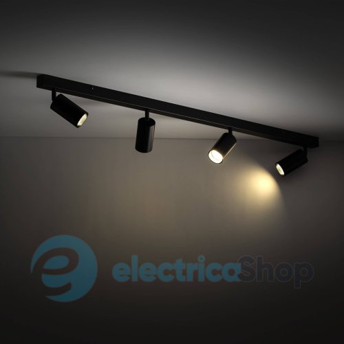 Светильник-спот TK-Lighting AMIS 10635