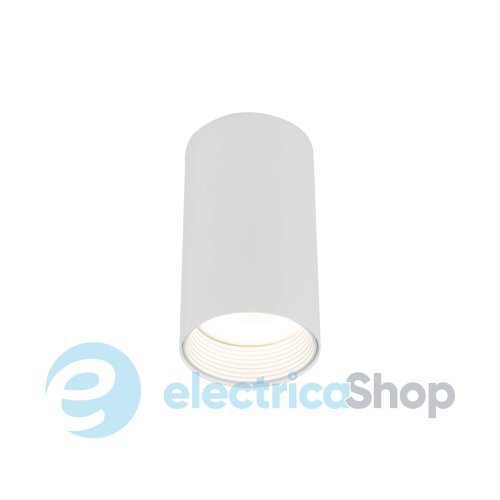 Точковий світильник TK-Lighting AMIS 10719