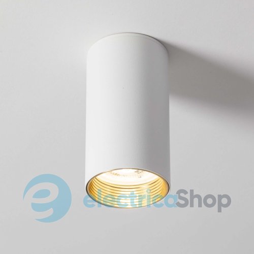 Точковий світильник TK-Lighting AMIS 10719