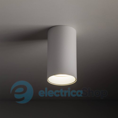 Точковий світильник TK-Lighting AMIS 10719