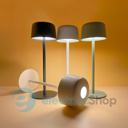 Настольная лампа Zuma Line POCO ETLED-658-BK LED 2W 3000K