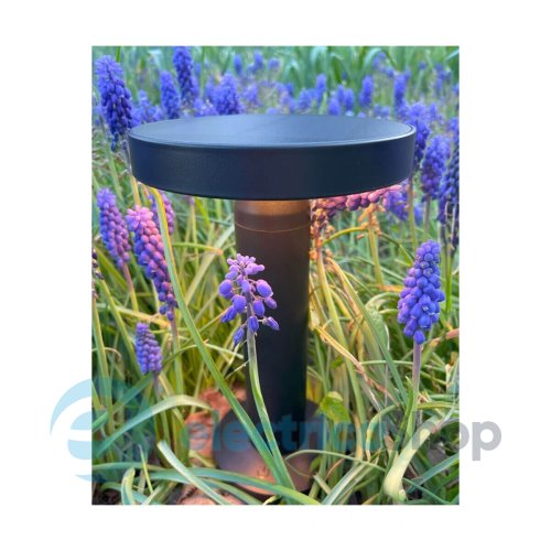 Уличный светильник Zuma Line CARLI DT33611