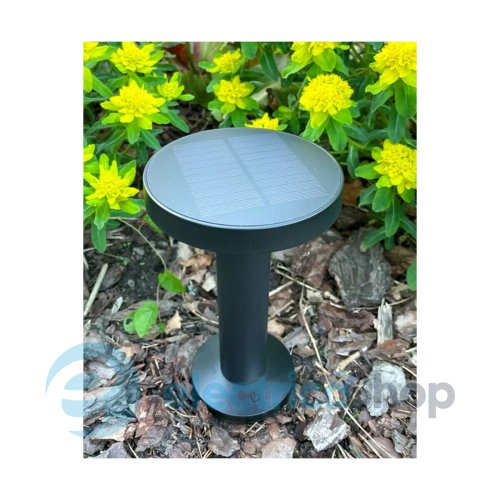 Уличный светильник Zuma Line CARLI DT33611