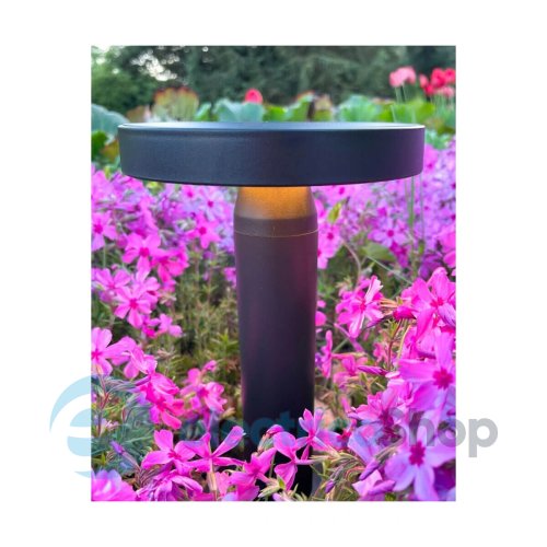 Уличный светильник Zuma Line CARLI DT33611