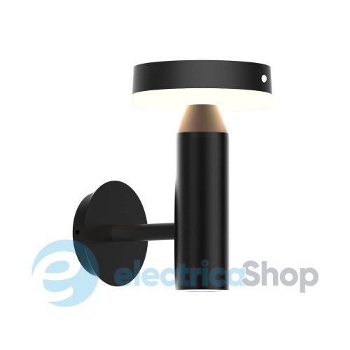 Уличный светильник Zuma Line CARLI WT33611