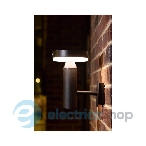 Уличный светильник Zuma Line CARLI WT33611