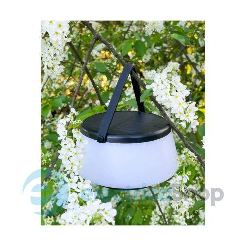 Уличный светильник Zuma Line AURE DT36111