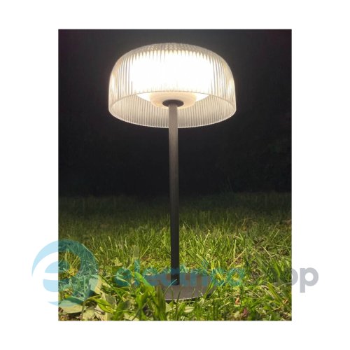 Уличный светильник Zuma Line BLUET DT33111