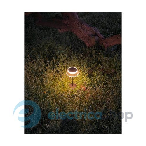 Уличный светильник Zuma Line BLUET DT33111