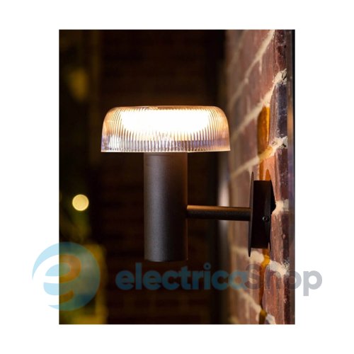 Уличный светильник Zuma Line BLUET WT33111