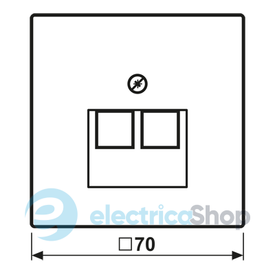 Накладка для 2-й. компьютерной розетки UAE JUNG LC969-2UA217 vert anglais clair (32041)