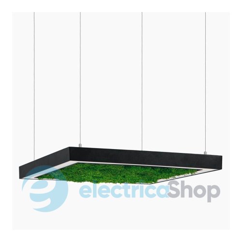 Люстра Imperium ANDER WITH FLAT MOSS 585150.05.72.92