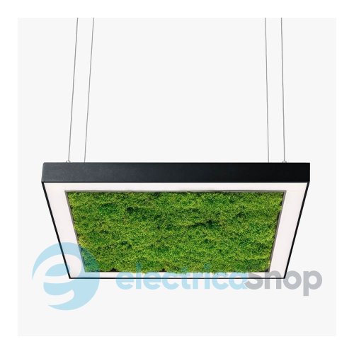 Люстра Imperium ANDER WITH FLAT MOSS 585150.05.72.92