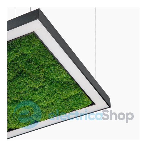Люстра Imperium ANDER WITH FLAT MOSS 585150.05.72.91