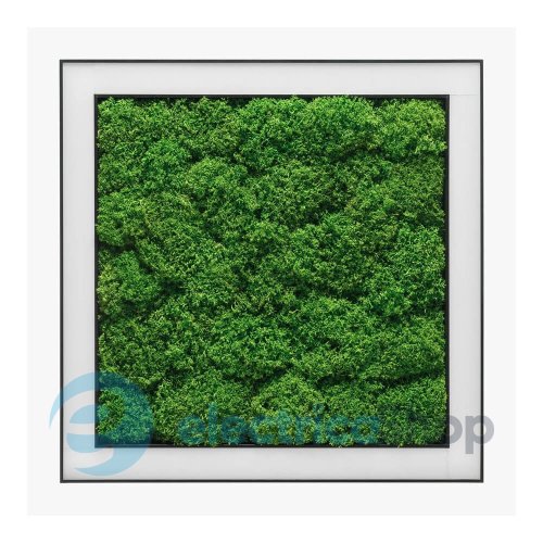 Люстра Imperium ANDER WITH FLAT MOSS 585150.05.72.91