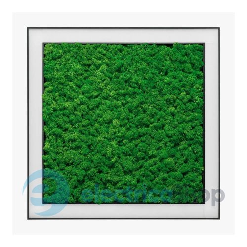 Люстра Imperium ANDER WITH REINDEER MOSS 585150.05.71.92