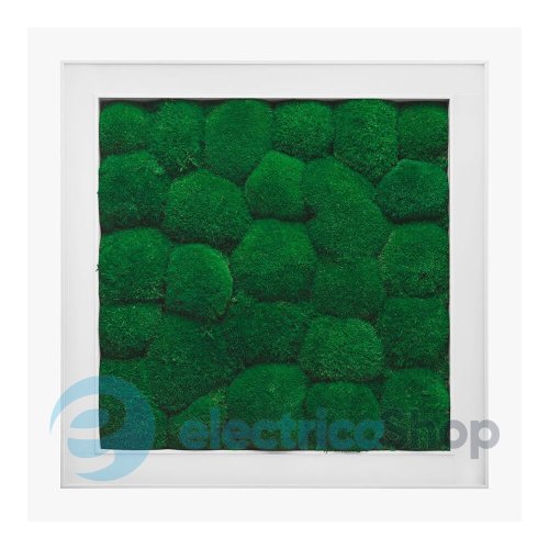 Люстра Imperium ANDER WITH BUN MOSS 585150.01.70.92