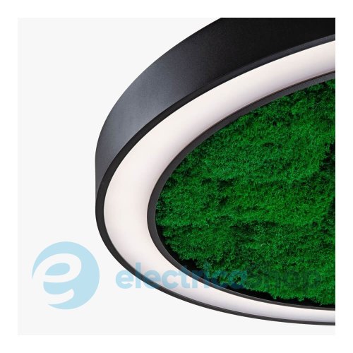 Люстра Imperium WHEEL WITH FLAT MOSS 627180.05.72.92