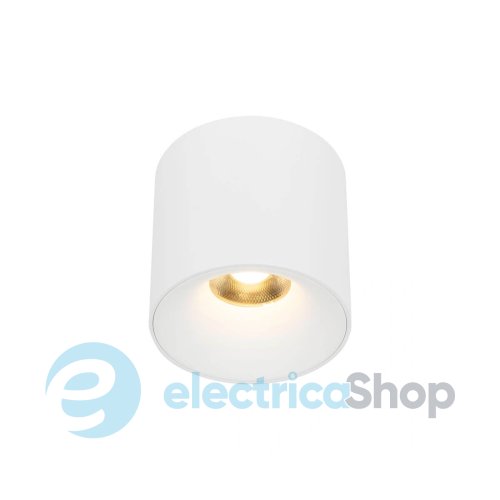 Точечный светильник TK-Lighting BLAZE CCT LED 30W 3000-6000K 18161