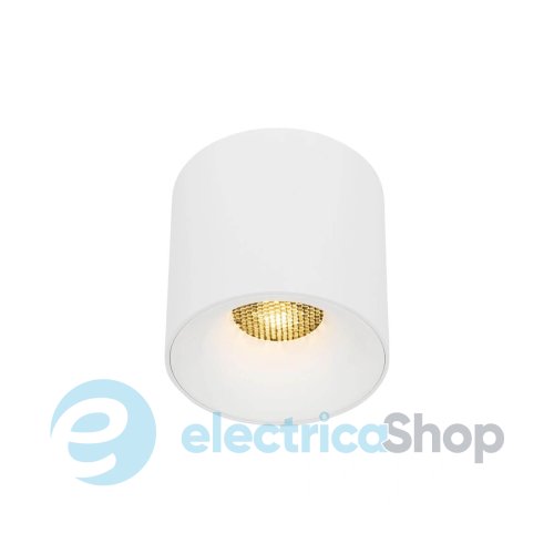 Точечный светильник TK-Lighting BLAZE CCT LED 30W 3000-6000K 18161
