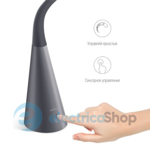 Функціональний настільний світильник Intelite Desklamp Iron Grey DL4-5W-IGR