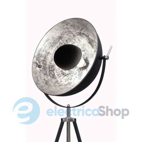Торшер Zuma ANTENNE (TS-090522F-BKSI)