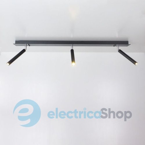 Светильник ImperiumLight 2003100.05.09 Diplomat