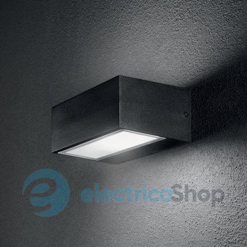 Вуличний світильник Ideal Lux TWIN AP1 BIG 115375