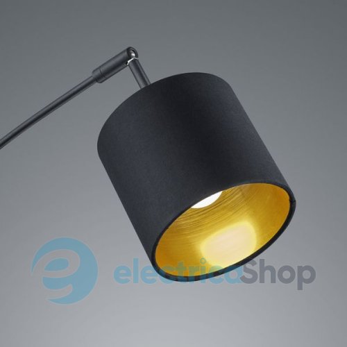 Торшер TRIO TOMMY R46330579