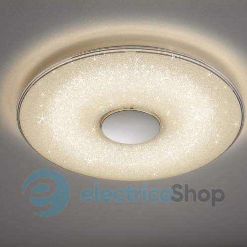 Потолочный светильник TRIO 628990100 TOYAMA