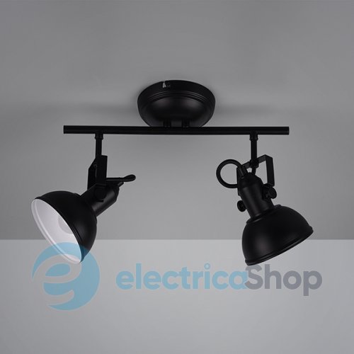 Світильник TRIO R80152032 GINA