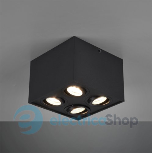 Точковий світильник TRIO BISCUIT 613000432