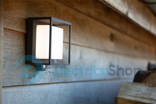 Уличный светильник Lutec Curtis 6934601118 с датчиком движения