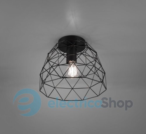 Стельовий світильник TRIO HAVAL R60711032