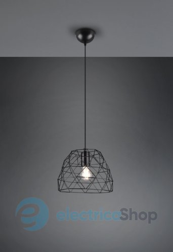 Підвісний світильник TRIO HAVAL R30711032