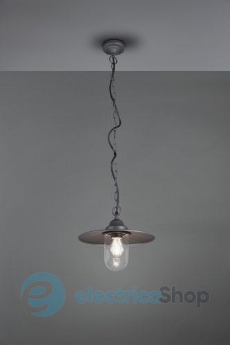 Вуличний світильник TRIO BRENTA 301760142