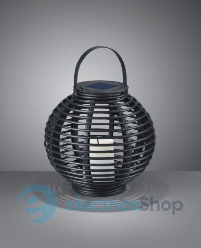 Вуличний світильник TRIO CARMELO R55196126