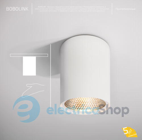 Точковий світильник BARVANOR Bobolink BL-SR-01940038RF490-RAL9003