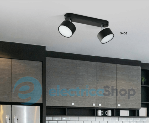Светильник-спот TK-Lighting CLARK 2 3403
