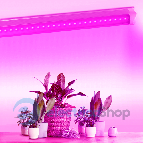 Лінійний LED-світильник для рослин VIDEX FITO 10W 0,6м VL-T8FF-1006B (27001)