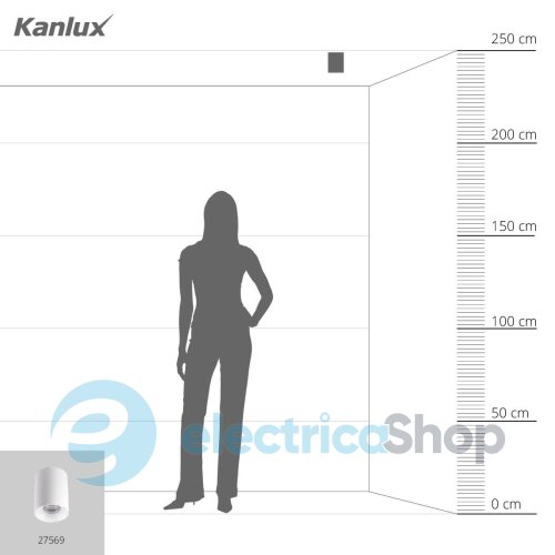 Точковий cвітильник Kanlux RITI GU10 W/W (27569)